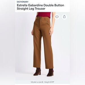 Stylish Brown Chinos for Women